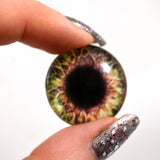 25mm Brown and Cream Human Glass Eye