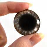 Wide Brown Round Glass Eye