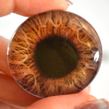 30mm Gray and Brown Color Changing Animated Human Glass Eyes