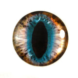 Brown and Teal Cat Glass Eye