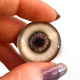 25mm Color Changing Doll Animated Glass Eyes
