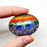 Colorful Jumping Spider Eyes Glass Cabochon