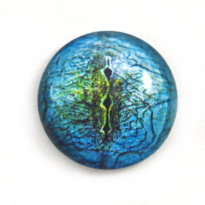 Blue Lizard Reptile Glass Eye