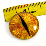 30mm Golden Dragon Glass Eye
