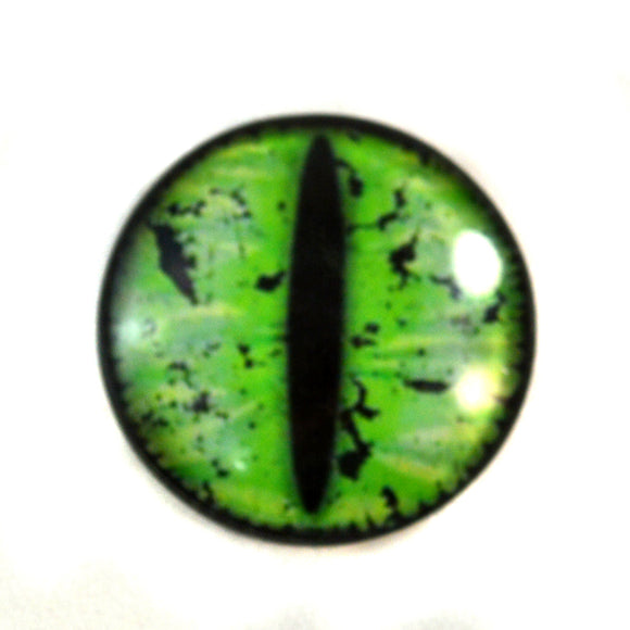 Green Grunge Dragon Glass Eye