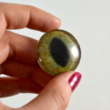 realistic green and brown cat eye