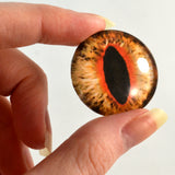 Orange Cat or Dragon Glass Eye
