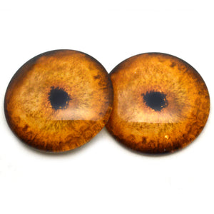 Orange Tiger Glass Eyes