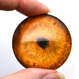 Orange Tiger Glass Eyes