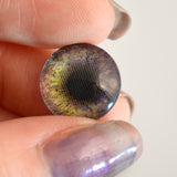 14mm Changing Purple and Yellow Animated Doll Glass Eyes