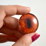 red fox glass eye