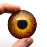 Round Dinosaur Creature Glass Eye