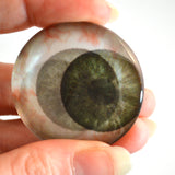 Round Green Spooky Animated Human Glass Eyes