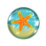 Starfish Glass Cabochon