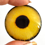 Yellow Sparrow Hawk Bird Glass Eyes