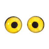 Yellow Sparrow Hawk Bird Glass Eyes