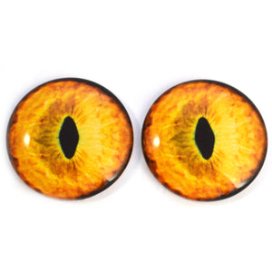 Yellow Tabby Cat Glass Eyes