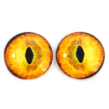 Yellow Tabby Cat Glass Eyes