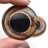 bearded dragon glass eyes for reptile sculpture