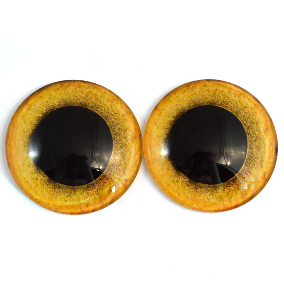 Buy 14mm Owl Safety Eyes With Washers Translucent Yellow Eyes Online in  India 