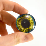 Blue and Yellow Fantasy Glass Eye