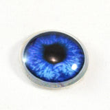 Blue Anime Glass Eye