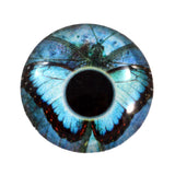 blue butterfly glass eye