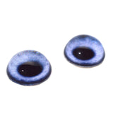 High Domed Blue Dog Glass Eyes