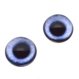 Blue Dog High Dome Glass Eyes