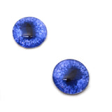 Blue Fox Glass Eyes