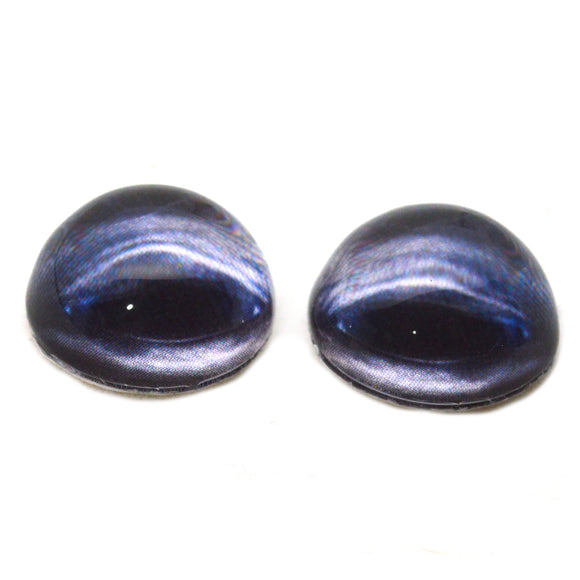 High Domed Blue Whale Glass Eyes