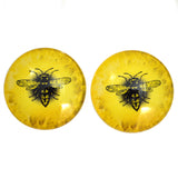 Bright Yellow Honey Bee Eye Cabochons