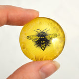 Bright Yellow Honey Bee Eye Cabochon