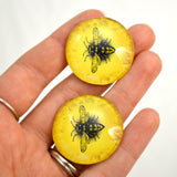 Bright Yellow Honey Bee Eye Cabochons