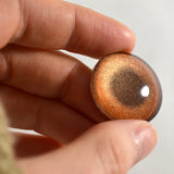 bronze metallic glass eye