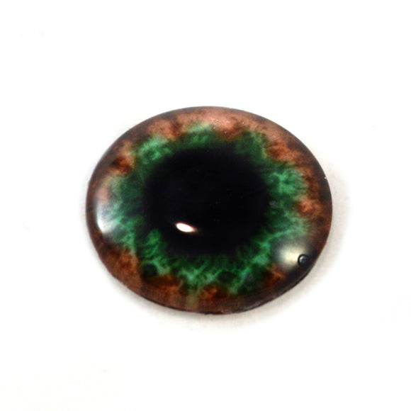 Brown and Green Human Glass Eye