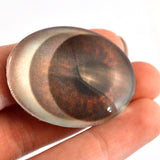 Animated Brown Oval Doll Glass Eyes