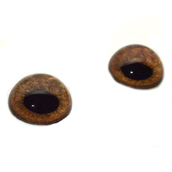 High Domed Brown Griffon Glass Eyes