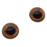 High Domed Brown Griffon Glass Eyes