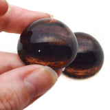 High Domed Brown Horse Glass Eyes