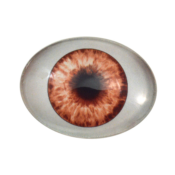 Brown Doll Oval Glass Eye