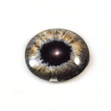 Brown Zombie Glass Eye