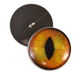 realistic cat eye buttons