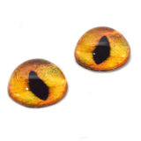 High Domed Creamy Orange Cat Glass Eyes