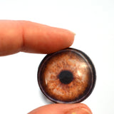 Elephant Glass Eye
