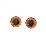 Ring of Fire Dragon Glass Eyes