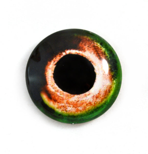 Green and Orange Fish Glass Eye