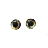 Koi Fish Glass Eyes