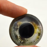 Koi Fish Glass Eye