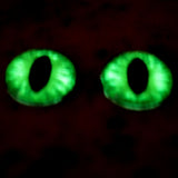 16mm Glow in the Dark Green Dragon Glass Eyes